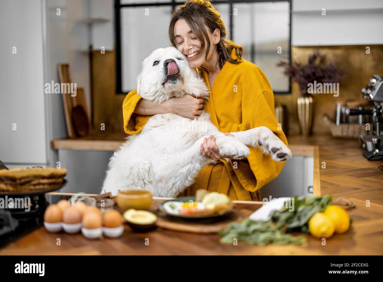 Une jeune femme joue avec son énorme chien blanc tout en ayant un petit-déjeuner pendant une heure du matin sur la cuisine à accueil Banque D'Images