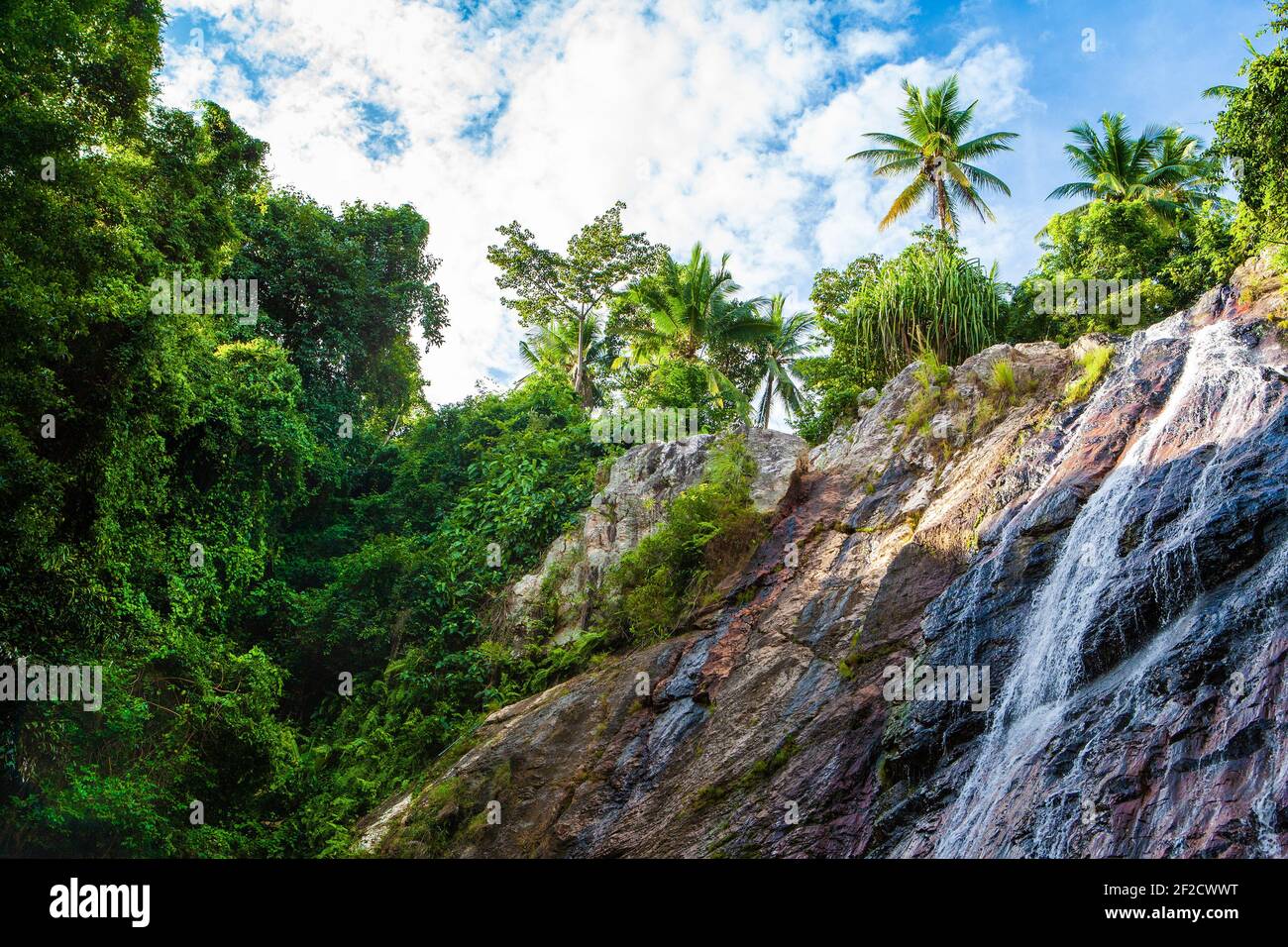 Paysage tropical des cascades de Na Muang sur l'île de Koh Samui, Thaïlande Banque D'Images