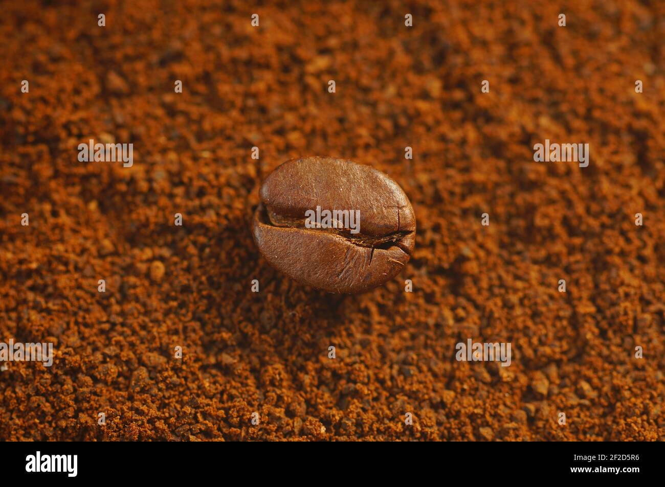 Grain de café au premier plan - café moulu en arrière-plan Banque D'Images