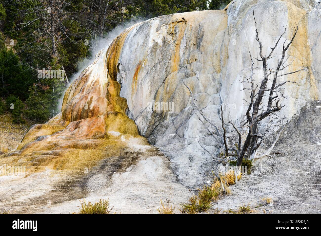 Une image détaillée de Orange Mound Spring dans le parc national de Yellowstone, Wyoming Banque D'Images