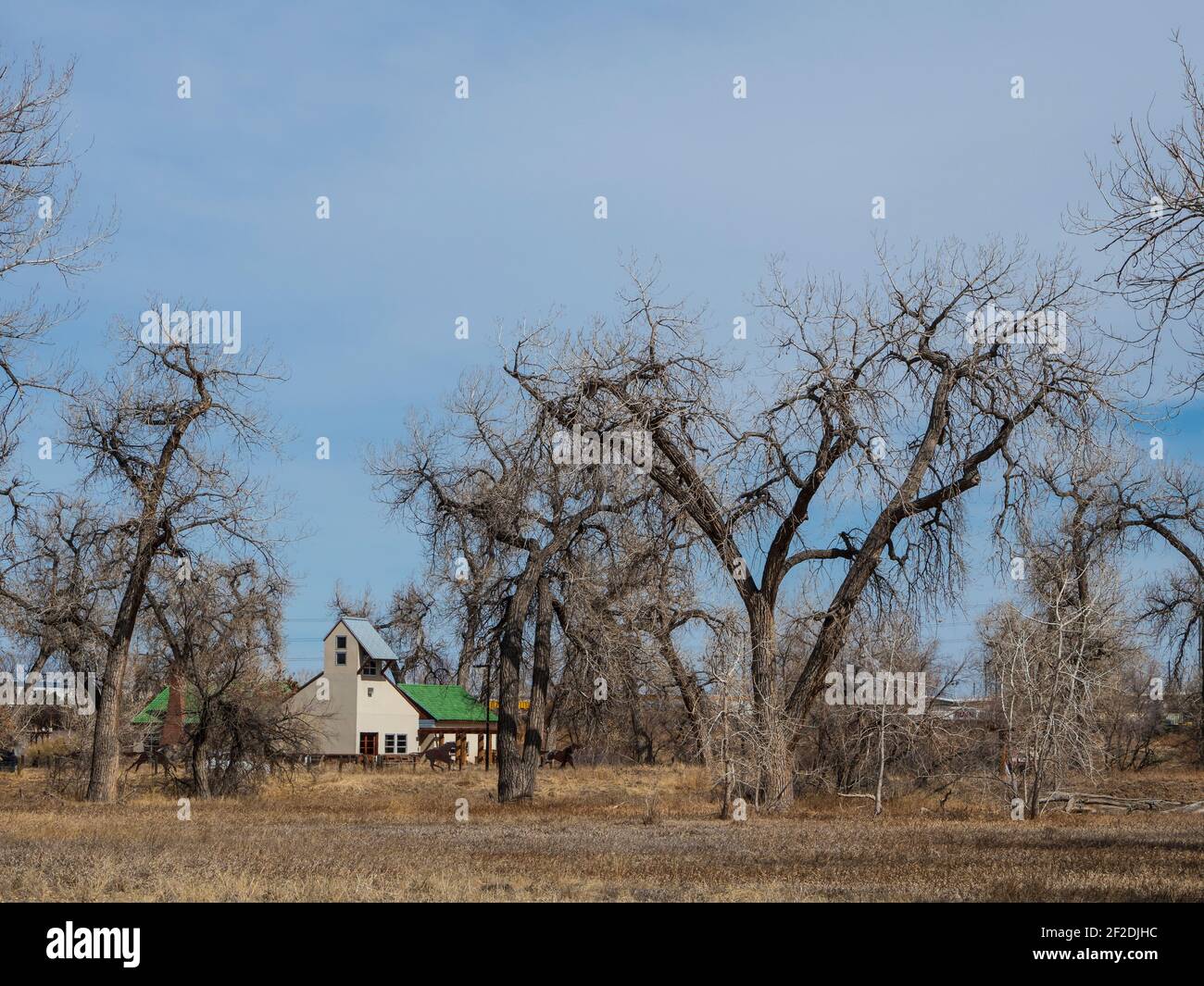 Morrison nature Center, Star K Ranch, Sand Creek Greenway Trail, Aurora, Colorado. Banque D'Images