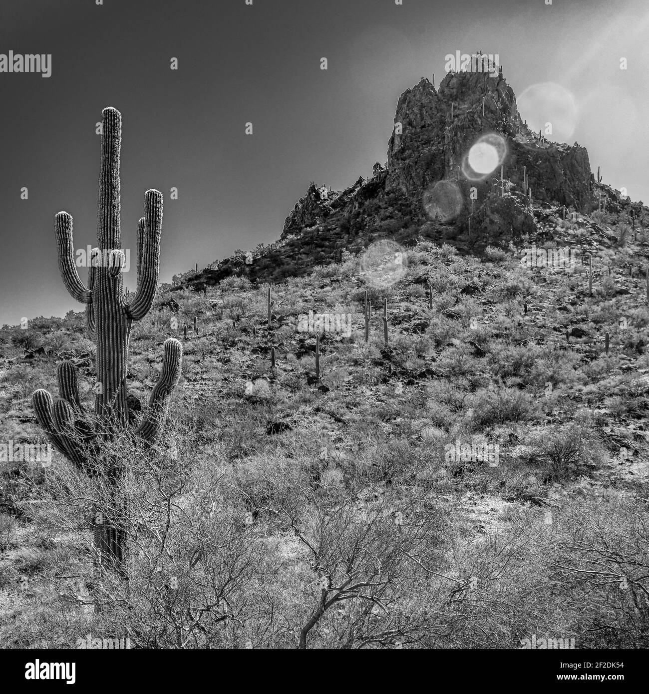 Les fusées éclairantes se trouvent à travers le pic de Picacho dans le parc national de Picacho Peak, entouré de cactus de Saguaro dans le désert de Sonora à Picacho, Arizona, États-Unis, en noir et blanc Banque D'Images