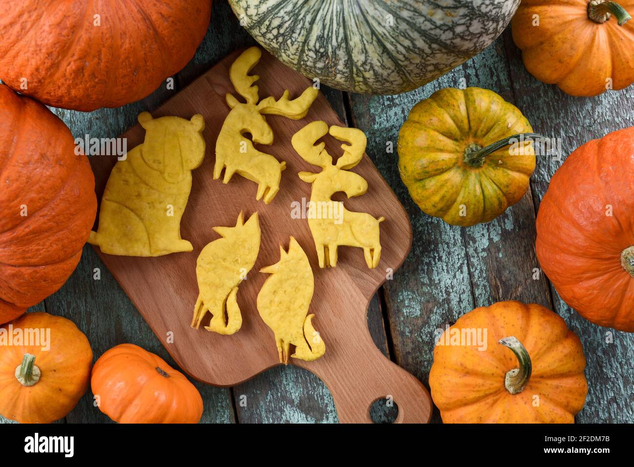Petits Gateaux Faits Maison En Forme D Animaux Vegetaliens Orignal Ours Et Renard Servis Avec De Grandes Citrouilles Biologiques Au Dessus De La Vue Photo Stock Alamy