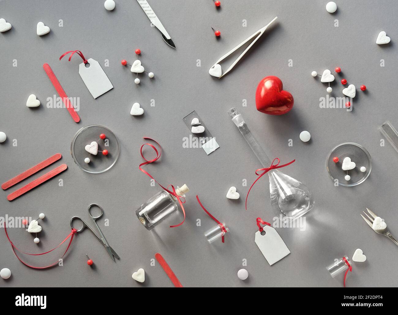 Chimie de l'amour. Mise à plat créative sur papier gris. Vue de dessus avec verrerie chimique, plats de pétri, molécules d'amour, coeurs de sucre, ciseaux, pinces Banque D'Images