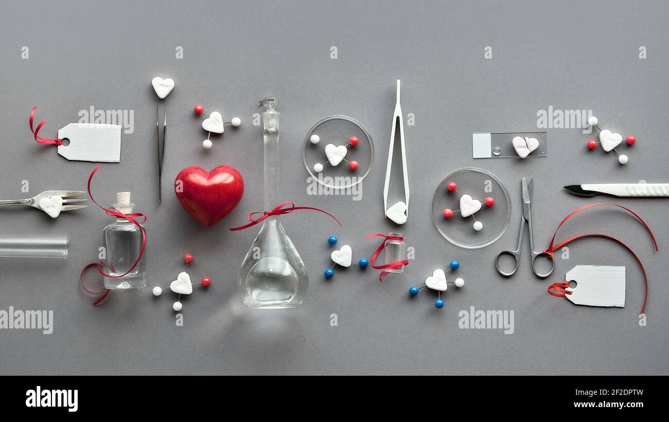 Chimie de l'amour. Mise à plat créative sur papier gris. Vue de dessus avec verrerie chimique, plats de pétri, molécules d'amour, coeurs de sucre, ciseaux, pinces Banque D'Images
