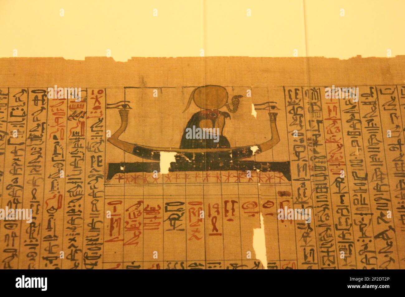 Horus et hiéroglyphes sur Papyrus exposés au Brooklyn Museum Banque D'Images