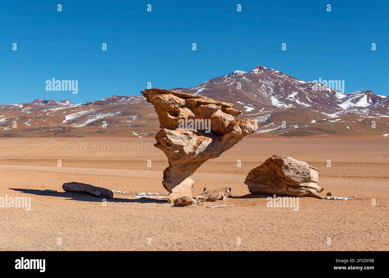 L'Arbol de Piedra ou l'arbre en pierre dans le désert de Siloli, réserve nationale Eduardo Avaroa, Uyuni, Bolivie. Banque D'Images