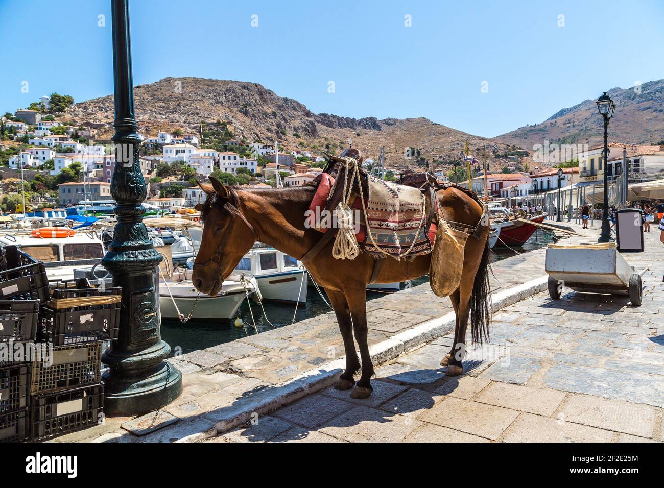 Ânes à l'île d'Hydra en un jour d'été en Grèce Banque D'Images