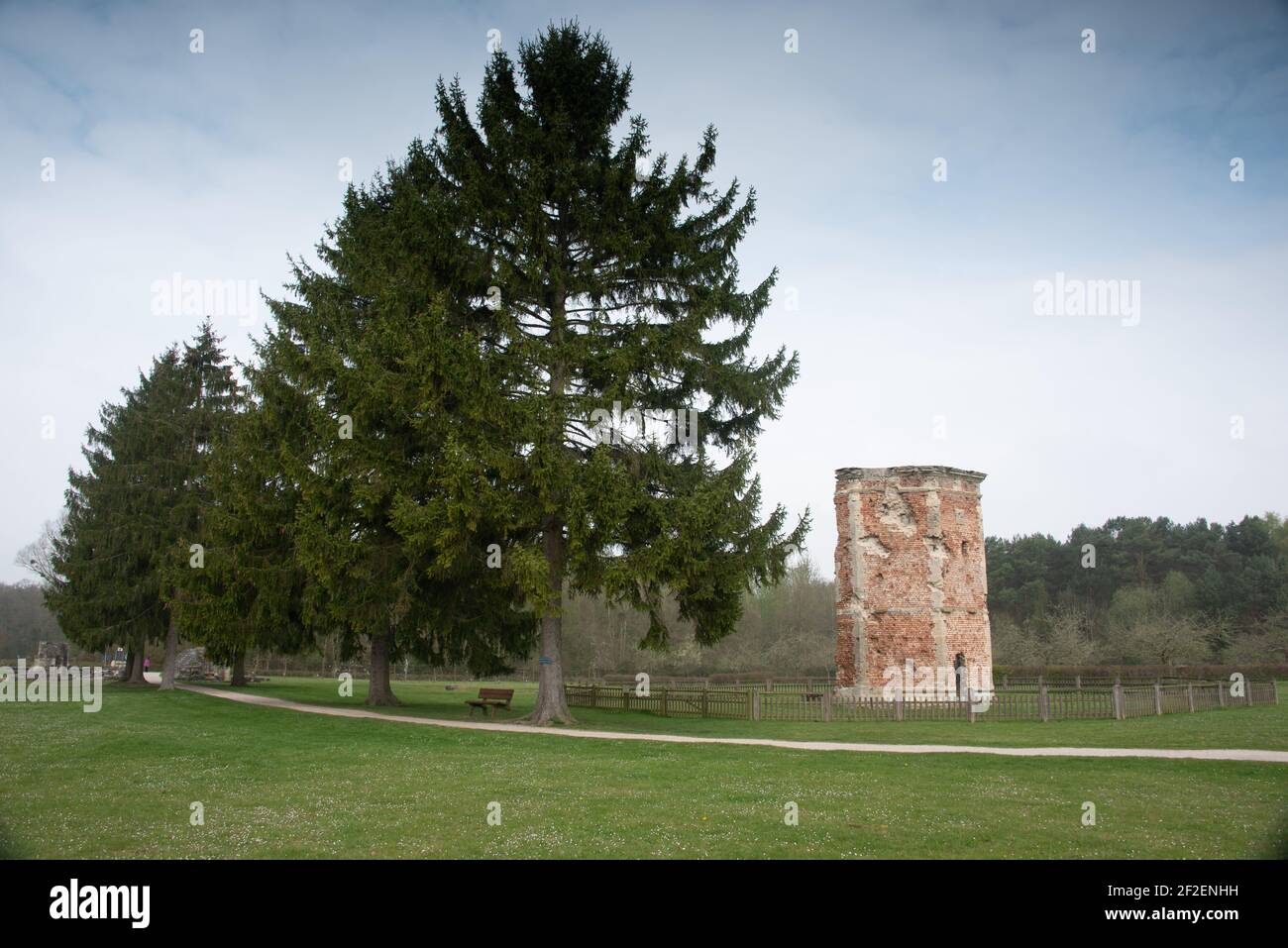 Les ruines de l'abbaye de Vauclair, ancien monastère cistercien proche du chemin des Dames Banque D'Images