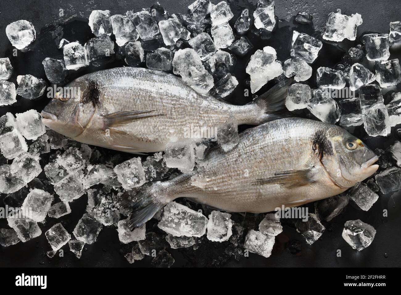 Poisson Dorado avec cube de glace sur fond d'ardoise noire. Motif de poisson. Vue de dessus. Banque D'Images
