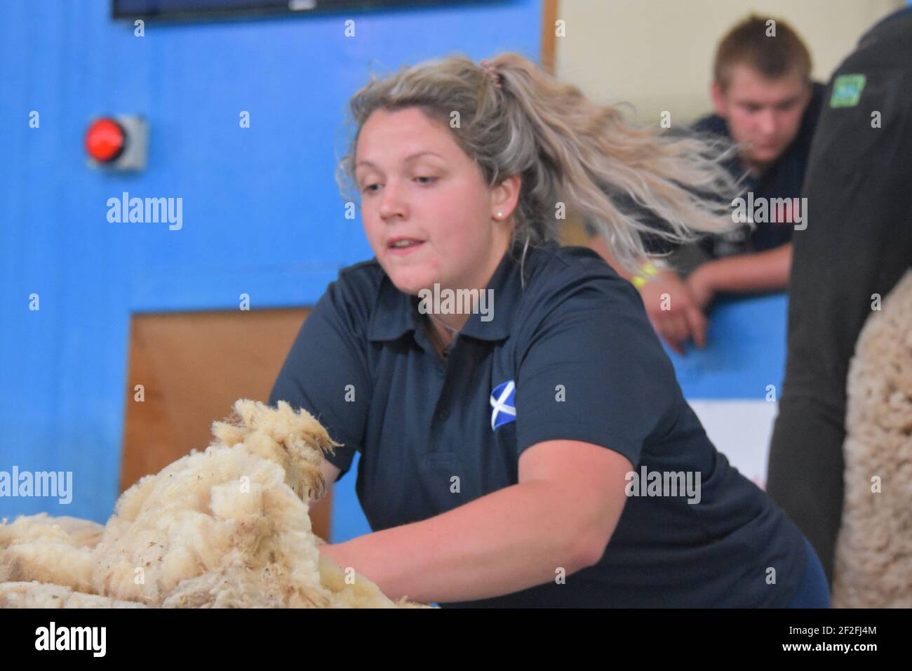 Audray Lamb et Rosie Keenan représentent l'Écosse au monde Manutention de la laine en France 2019 Banque D'Images