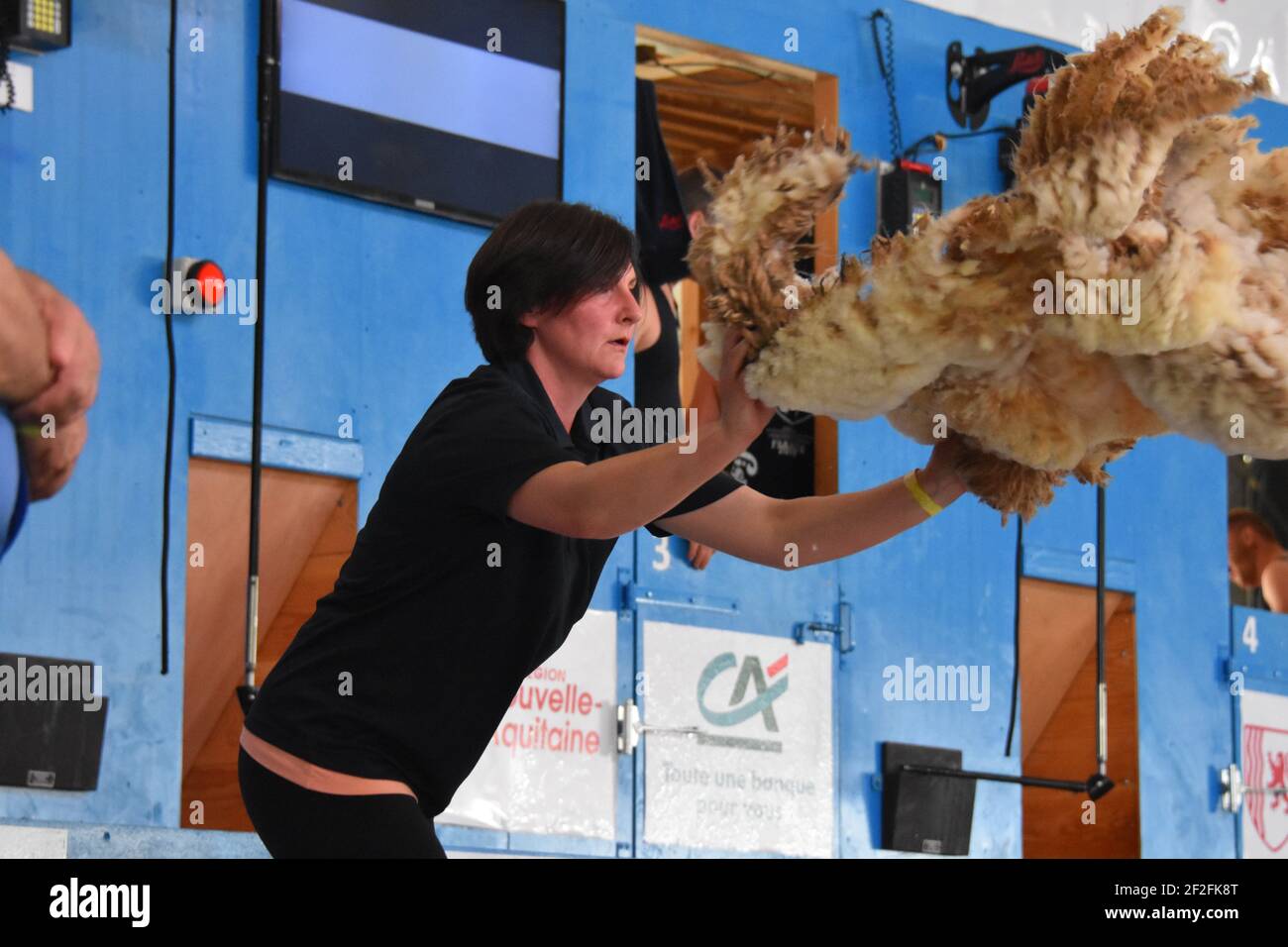 Audray Lamb et Rosie Keenan représentent l'Écosse au monde Manutention de la laine en France 2019 Banque D'Images