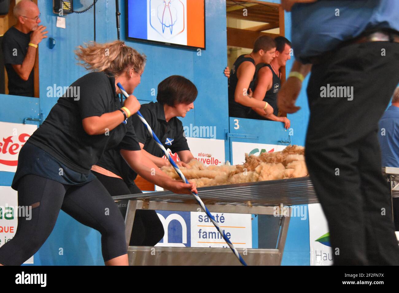 Audray Lamb et Rosie Keenan représentent l'Écosse au monde Manutention de la laine en France 2019 Banque D'Images