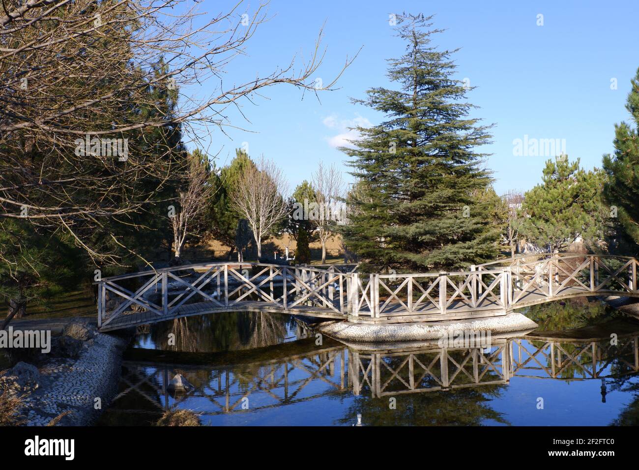 Petit pont en bois sur la rivière à l'intérieur des pins Banque D'Images
