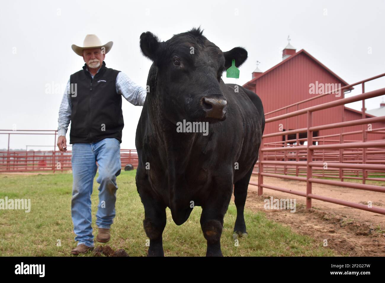 44 Farms, Cameron, Texas, États-Unis Banque D'Images