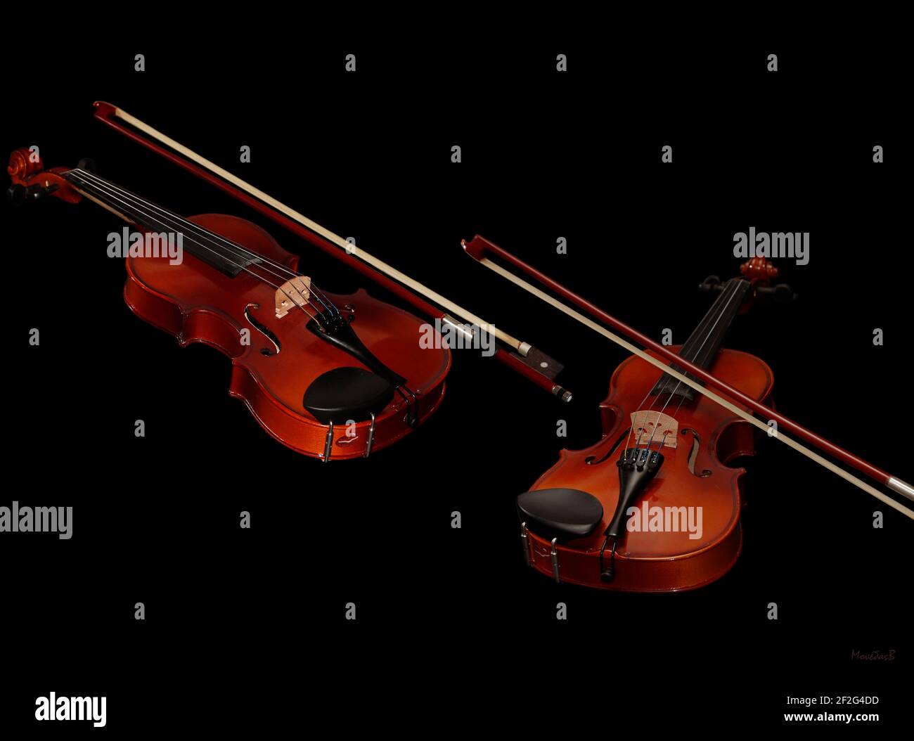 Deux violons avec leurs noeuds isolés sur fond noir Banque D'Images