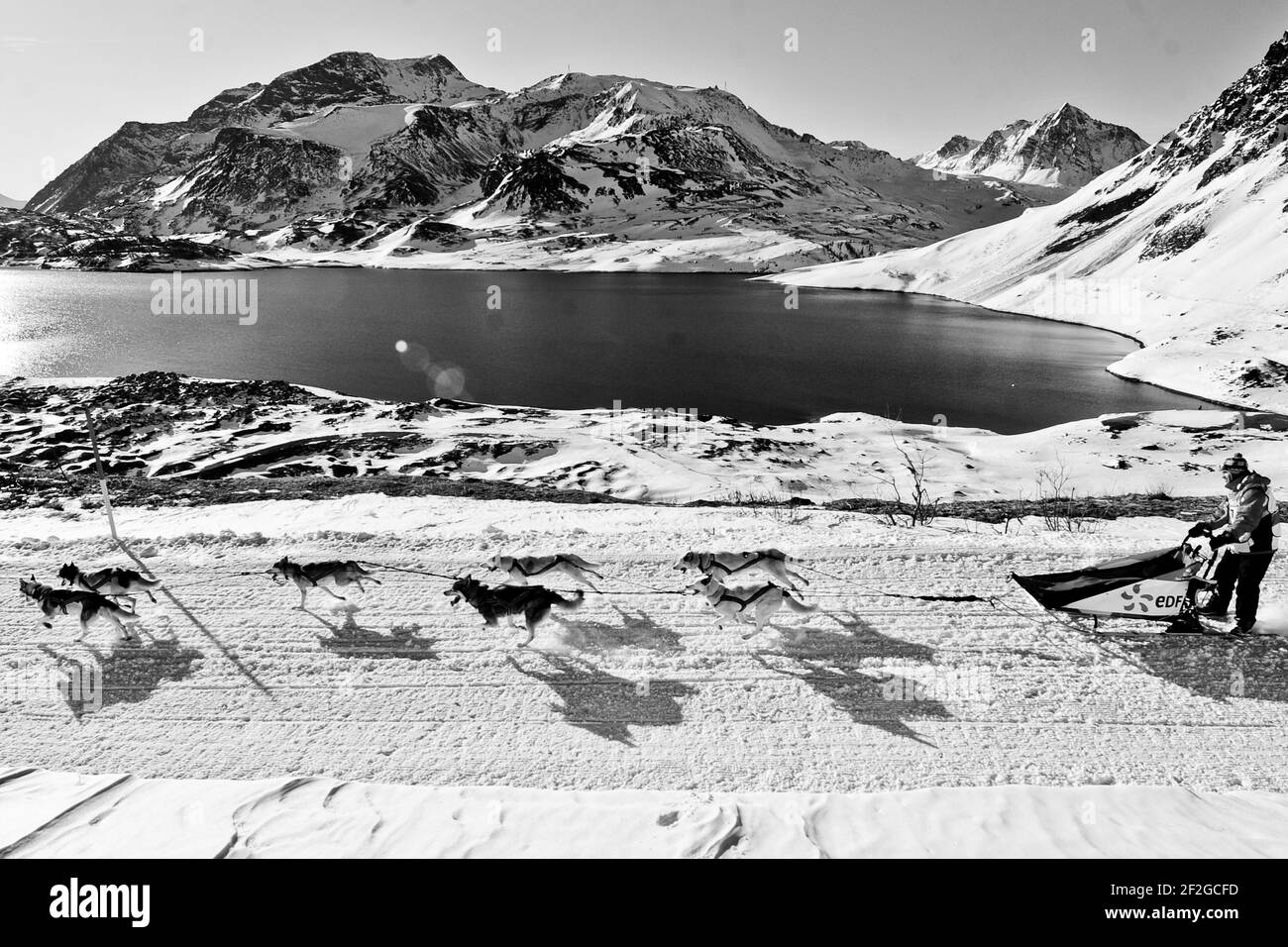 CHIENS DE TRAÎNEAU - LA GRANDE ODYSSEE 2012 - SAVOIE / ALPES / FRANCE - 07 AU 18/01/2012 - PHOTO : OLIVIER ANRIGO / DPPI - ILLUSTRATION Banque D'Images