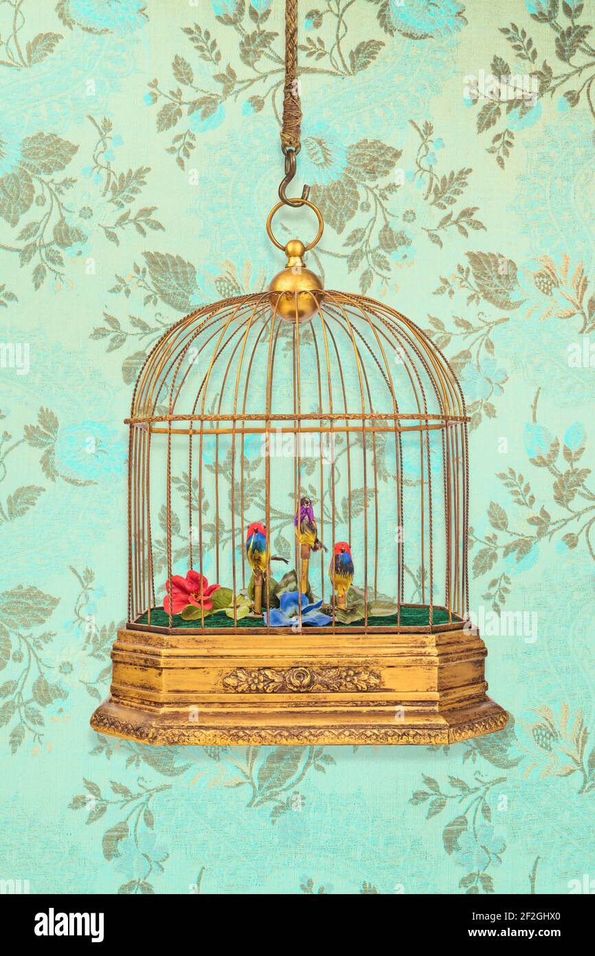 Cage à oiseaux suspendue vintage avec de vieux oiseaux de figurine devant papier  peint à motif fleuri Photo Stock - Alamy