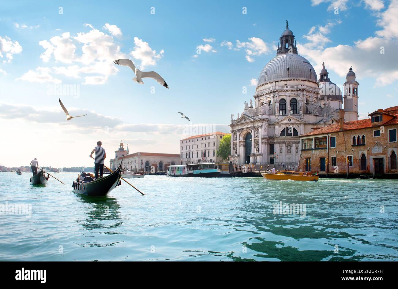 Vieille Cathédrale de Santa Maria della Salute à Venise, Italie Banque D'Images