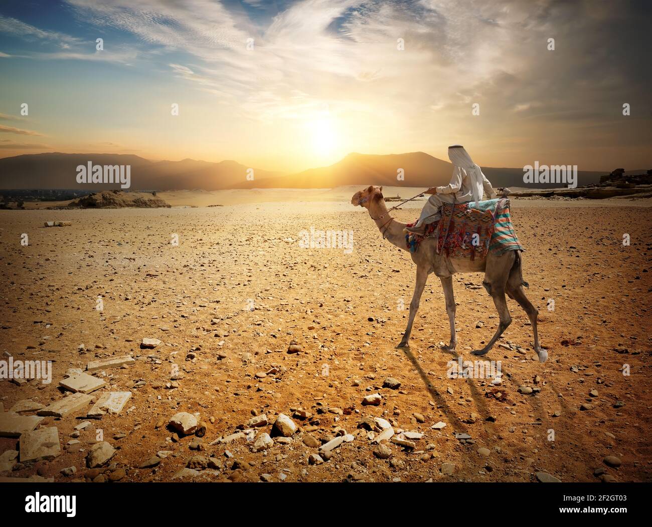Des promenades en chameau à travers le bédouin du désert de sable Banque D'Images