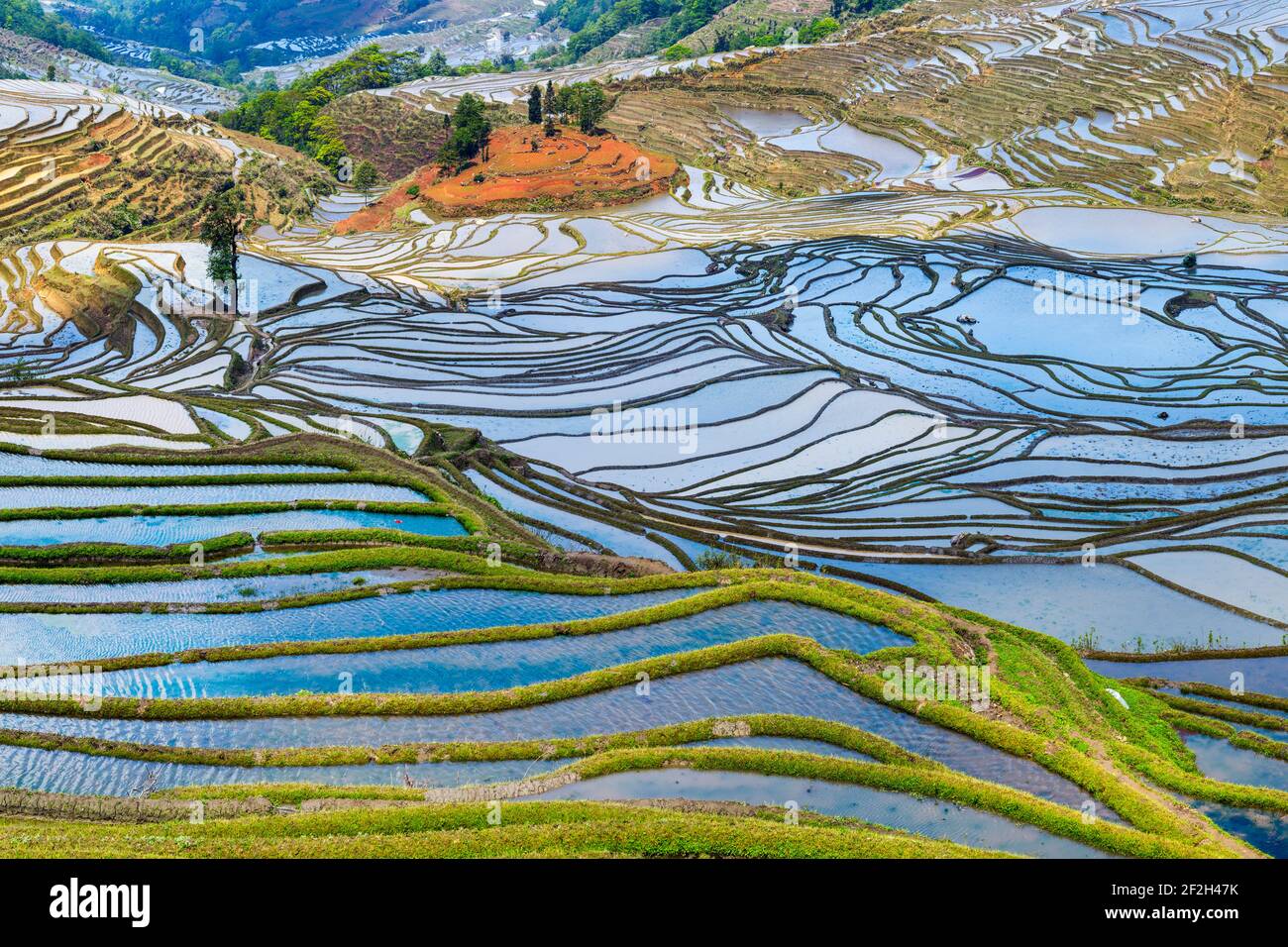 Géographie / Voyage, Chine, Yunnan, impressionnantes rizières en terrasses cultures de la région de Yuanyang à Duo Yi , Additional-Rights-Clearance-Info-not-available Banque D'Images