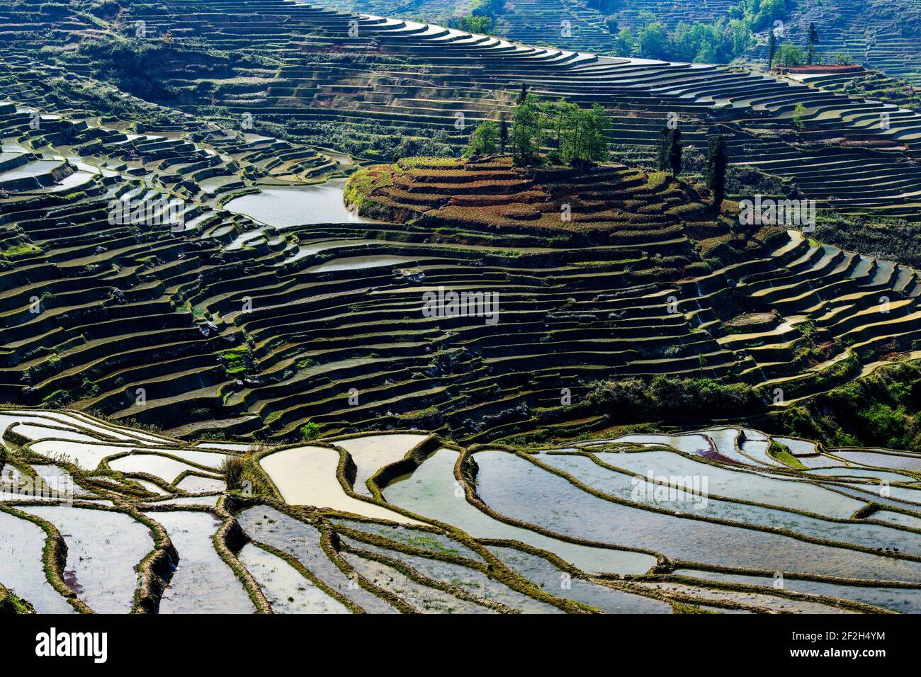 Géographie / Voyage, Chine, Yunnan, impressionnantes rizières en terrasses cultures de la région de Yuanyang à Duo Yi , Additional-Rights-Clearance-Info-not-available Banque D'Images