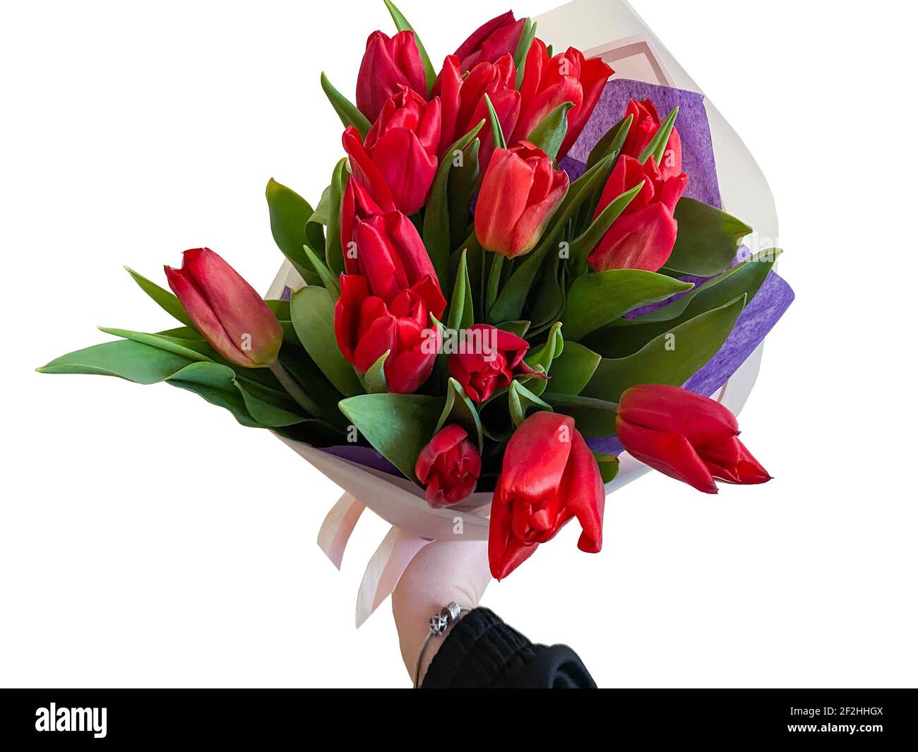 Beau bouquet de tulipes gros plan sur un fond blanc isolé. Tulipes rouges Banque D'Images