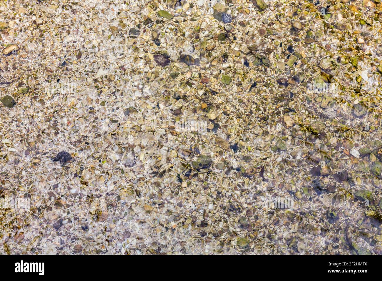 Pierres de gravier dans l'eau transparente, Ramsauer Ache, Hintersee, Ramsau, Berchtesgaden, Alpes de Berchtesgaden, Parc National de Berchtesgaden, pays de Berchtesgadener, haute-Bavière, Bavière, Allemagne, Europe Banque D'Images