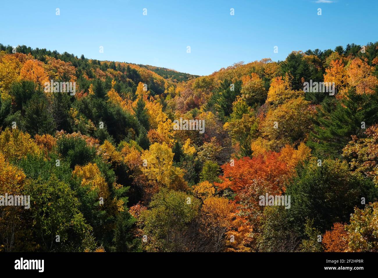 Vue sur la vallée des arbres, couleur d'automne, feuilles changeant, automne. Sur l'île Mt dessert, parc national Acadia, Maine. Banque D'Images