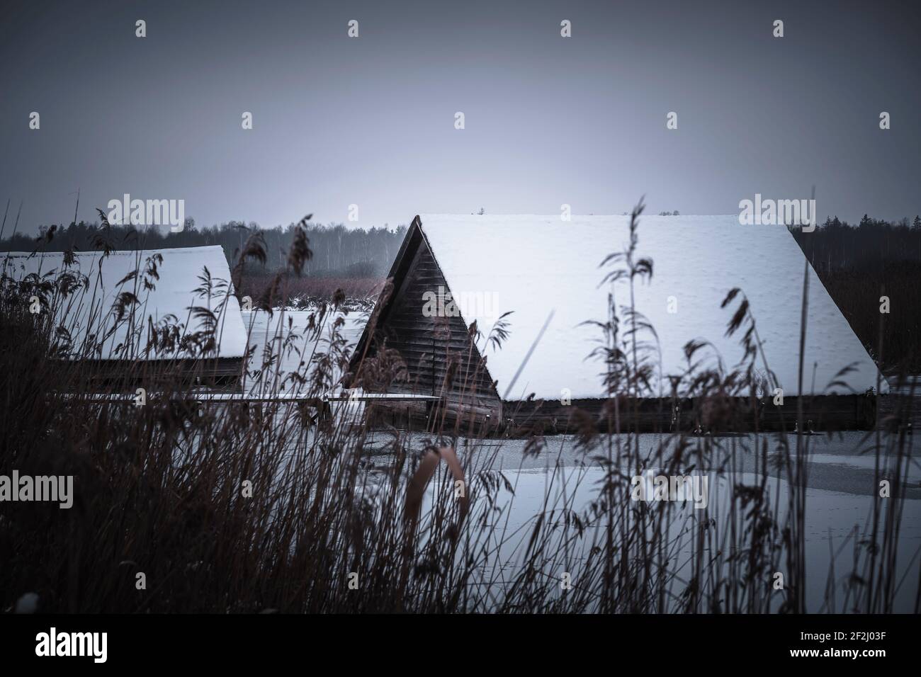 Boathouse, Federsee, Bad Buchau, hiver, Alb souabe, Bade-Wurtemberg, Allemagne, Europe Banque D'Images