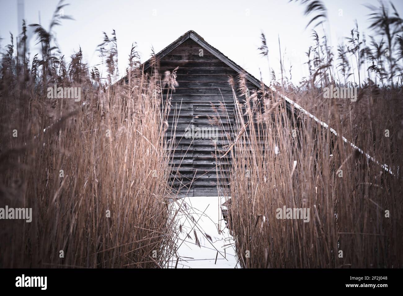Boathouse, Federsee, Bad Buchau, hiver, Alb souabe, Bade-Wurtemberg, Allemagne, Europe Banque D'Images