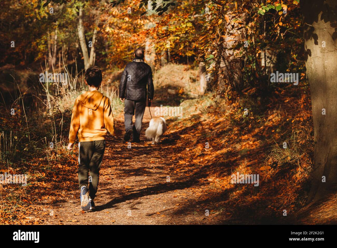 Un garçon, un père et un chien marchant le long d'un chemin dans la lumière de l'automne Banque D'Images