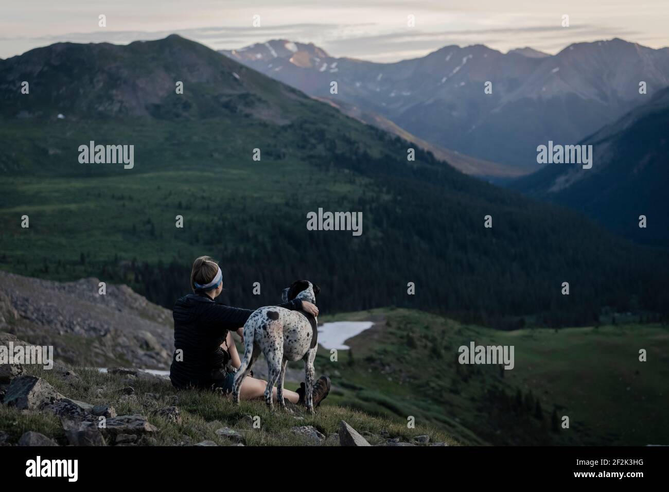 Femme regardant les montagnes tout en randonnée avec le chien pendant les vacances Banque D'Images