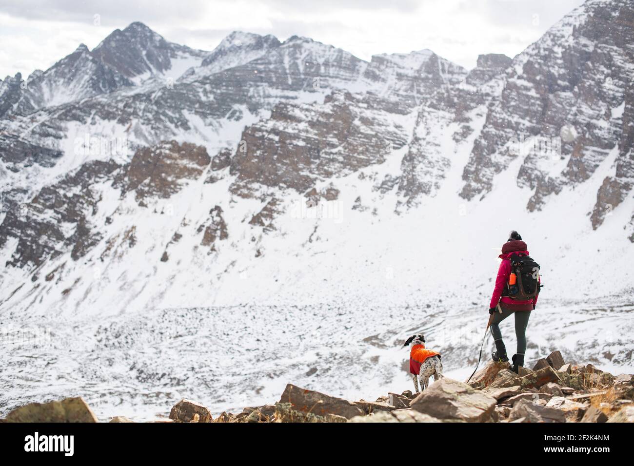 Femme randonnée avec chien pendant les vacances Banque D'Images