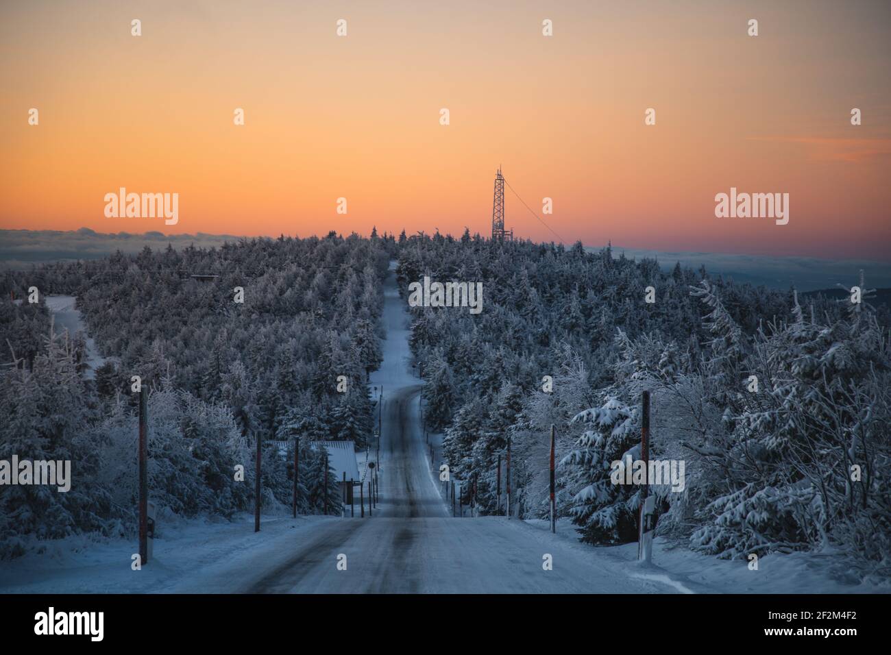 Allemagne, Saxe, Ore Mountains, Fichtelberg en hiver au lever du soleil Banque D'Images