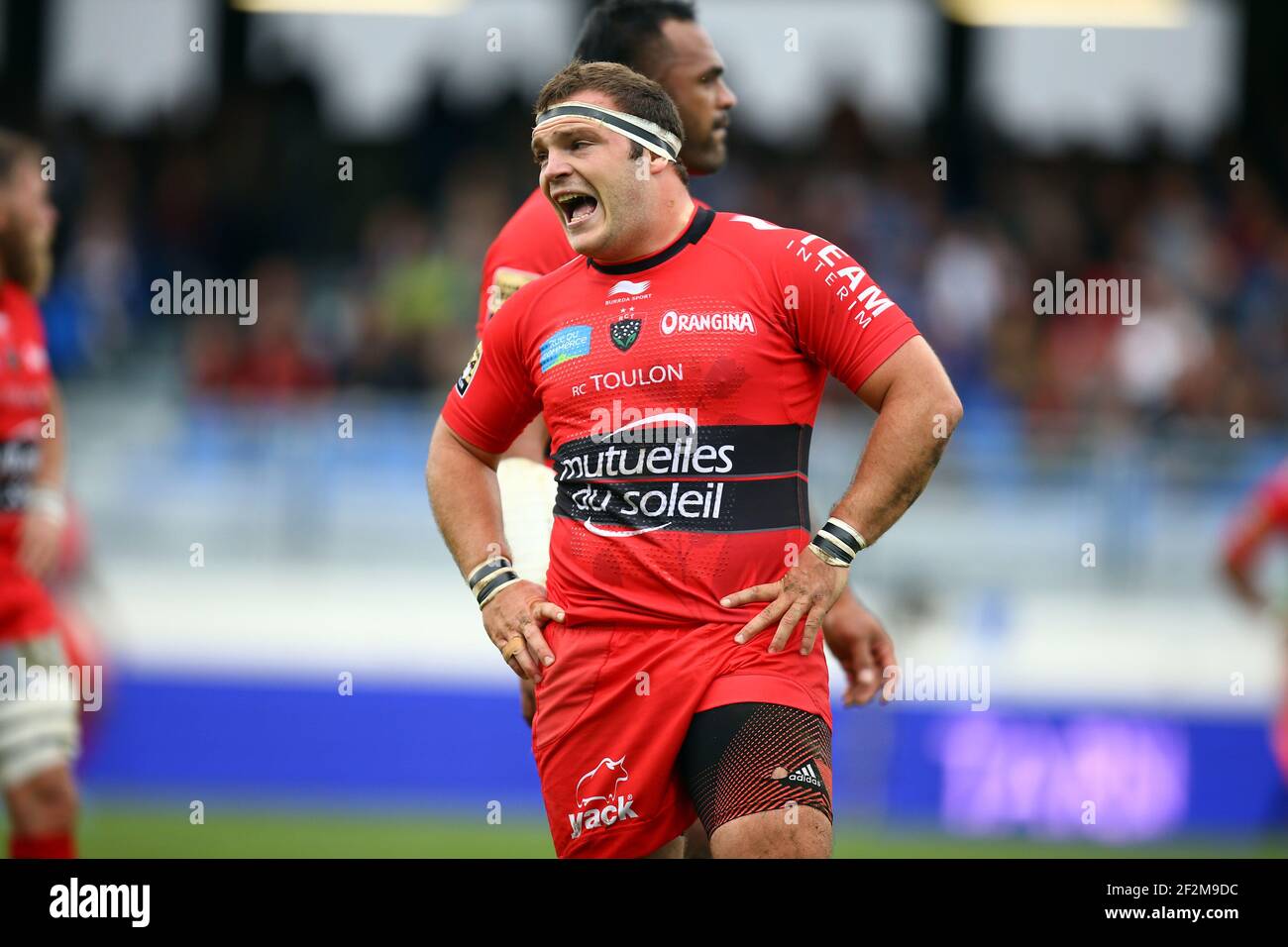 Jean-Charles Orioli de la RC Toulon réagit lors du match de rugby français Top 14 entre Castres Olympique et RC Toulon au stade Pierre Antoine, à Castres, France, le 8 novembre 2014 . Photo Manuel Blondau / AOP PRESSE / DPPI Banque D'Images
