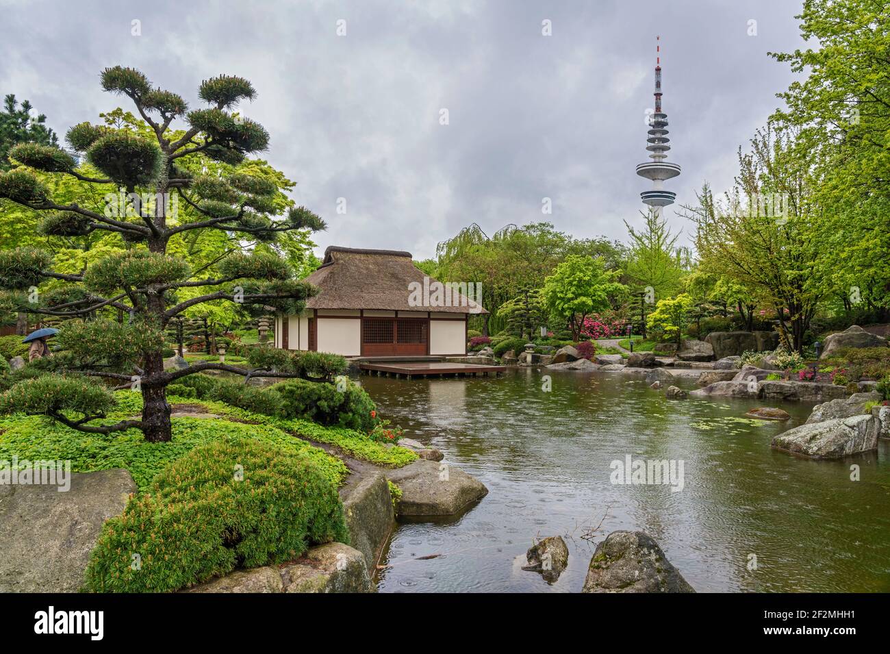 Allemagne, Hambourg, Planten un Blomen, Loki-Schmidt-Garten, Japon Garten, Salon de thé japonais Banque D'Images