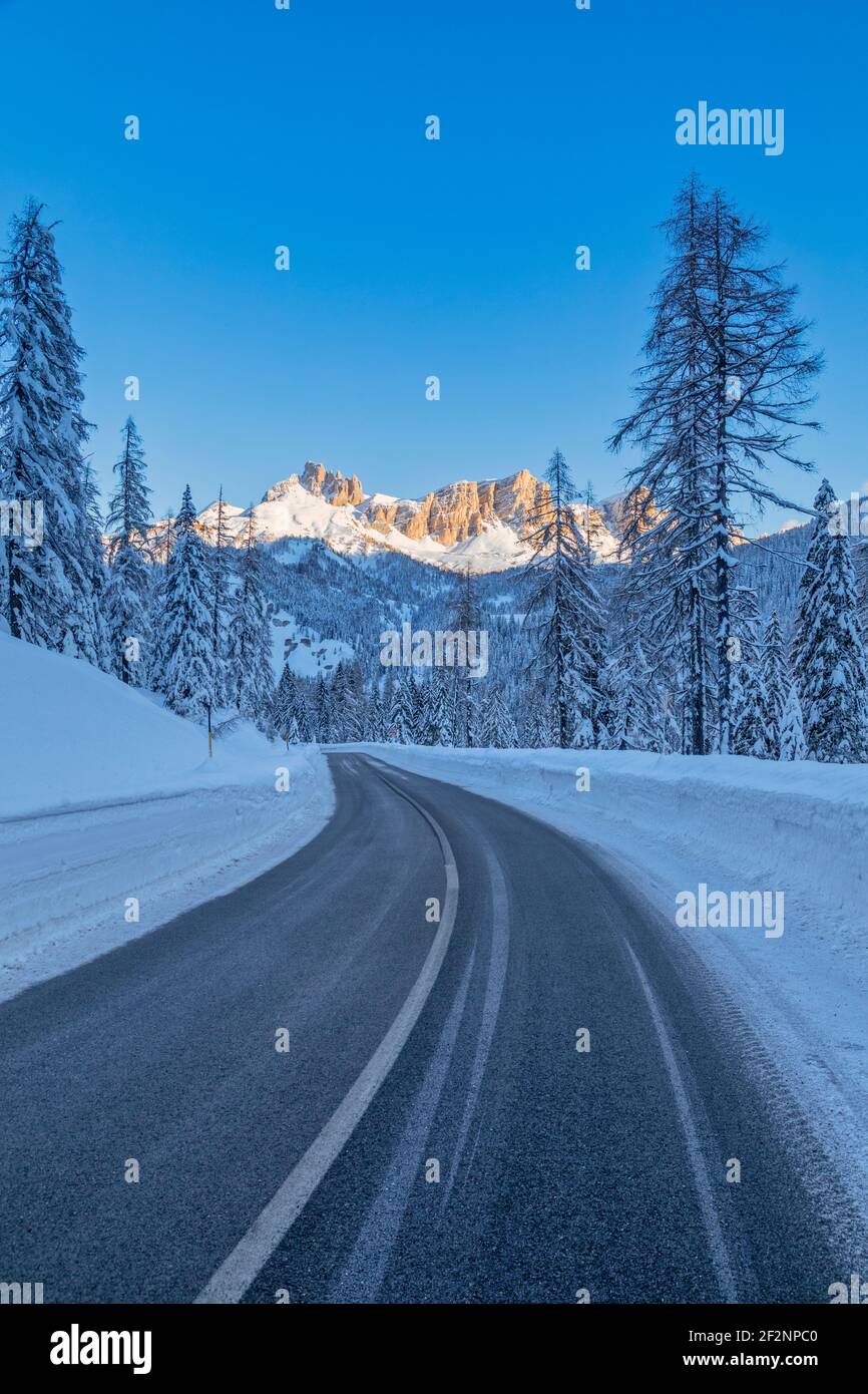 Vallée de Fiorentina, route à travers la forêt enneigée, en arrière-plan les Dolomites embrassé par le soleil. Staulanza Pass, Selva di cadore, belluno, vénétie, italie Banque D'Images