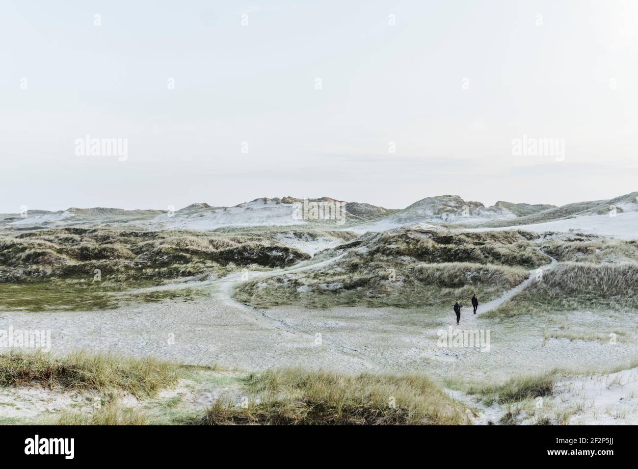 Promenade dans les dunes au Danemark Banque D'Images