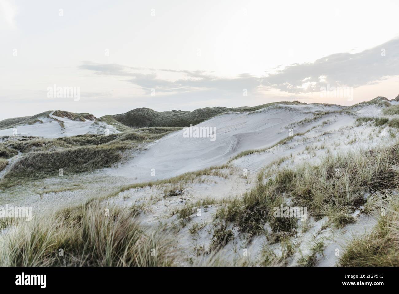 Promenade dans les dunes au Danemark Banque D'Images