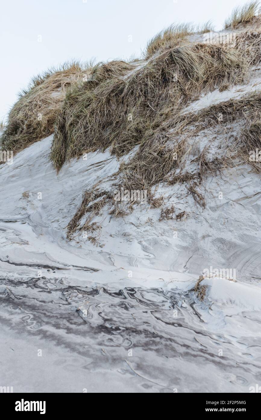 Promenade dans les dunes au Danemark Banque D'Images