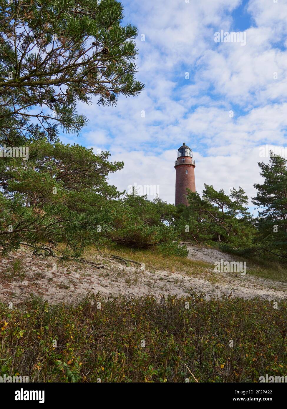 Phare de la Forêt primitive de Darß, Darß, Parc national de Vorpommersche Boddenlandschaft, Mecklembourg-Poméranie occidentale, Allemagne Banque D'Images