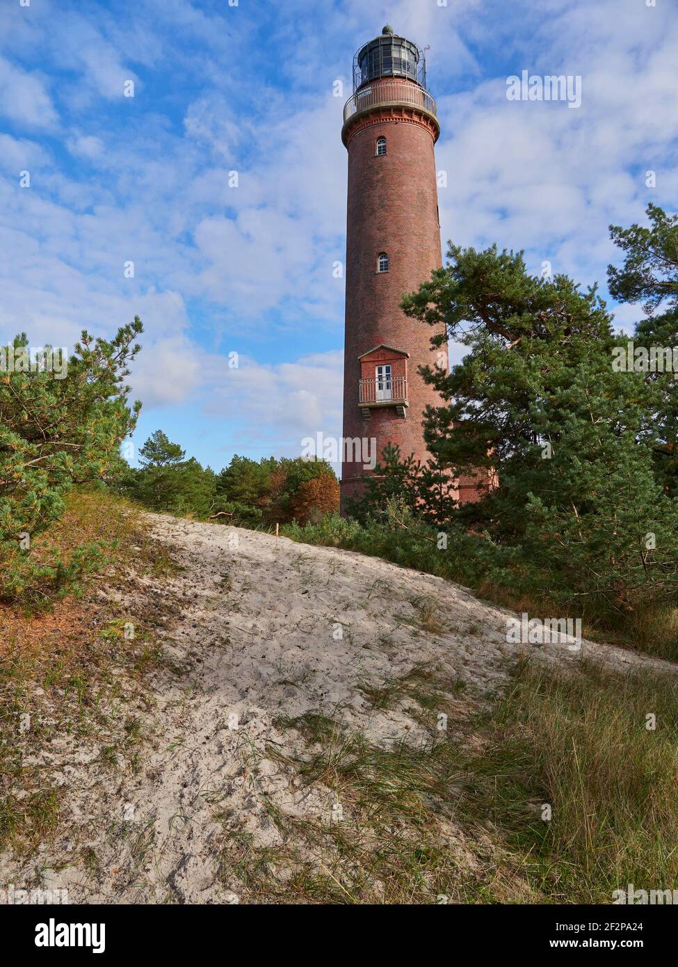 Phare de la Forêt primitive de Darß, Darß, Parc national de Vorpommersche Boddenlandschaft, Mecklembourg-Poméranie occidentale, Allemagne Banque D'Images