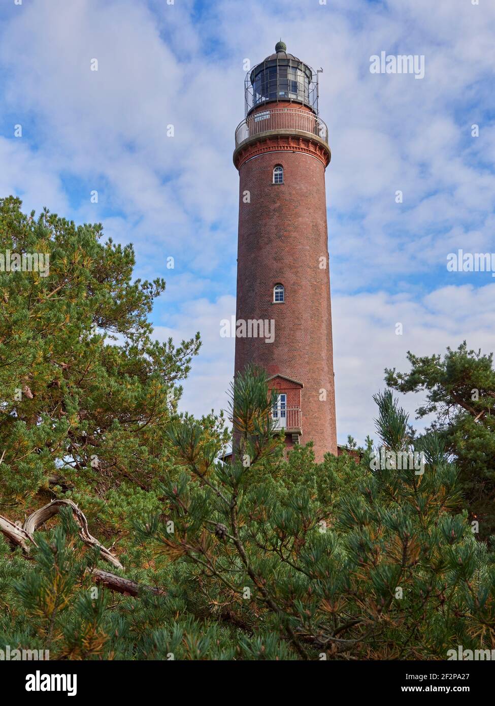 Phare de la Forêt primitive de Darß, Darß, Parc national de Vorpommersche Boddenlandschaft, Mecklembourg-Poméranie occidentale, Allemagne Banque D'Images