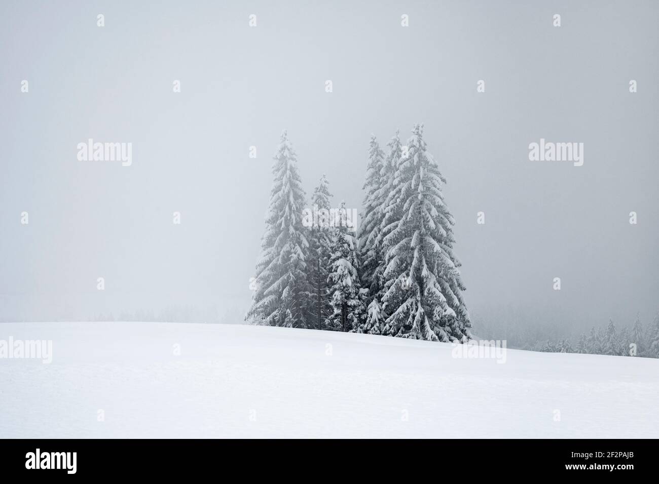 Europe, Suisse, Canton Zug, l'hiver sur le Ratenpass Banque D'Images