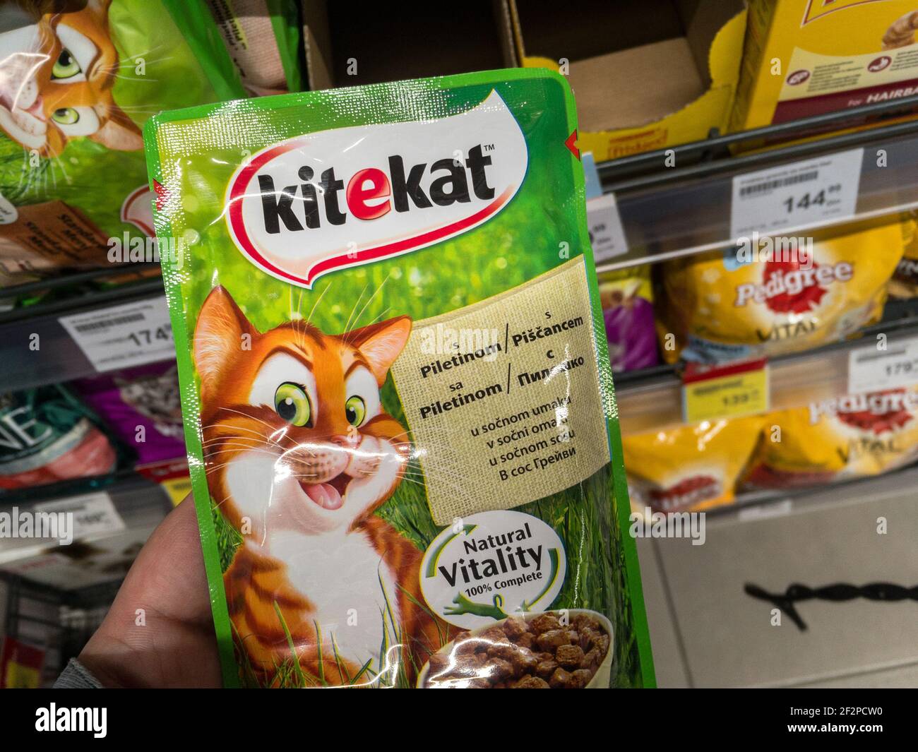 BELGRADE, SERBIE - 2 MARS 2021 : logo Kitekat sur un paquet de nourriture humide en conserve pour chats à vendre. Fait partie de Pedigree, kitekat est une marque américaine de chat félin Banque D'Images