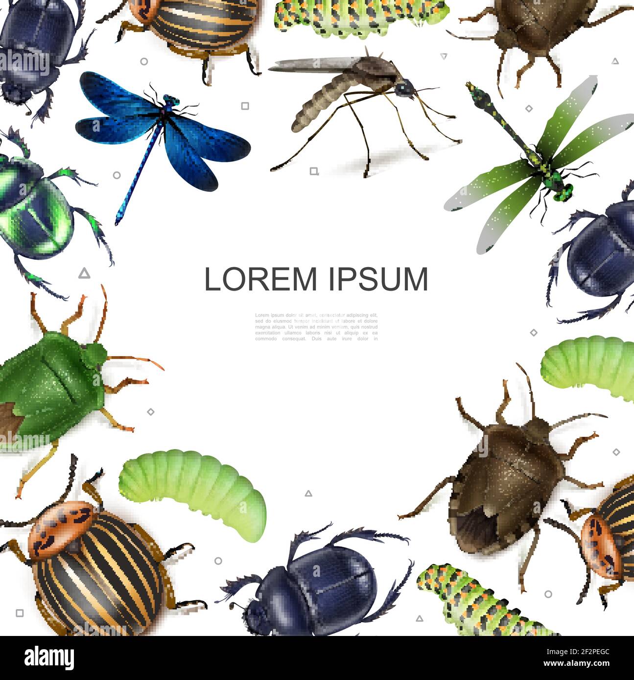 Insectes réalistes modèle coloré avec libellules Colorado pomme de ...