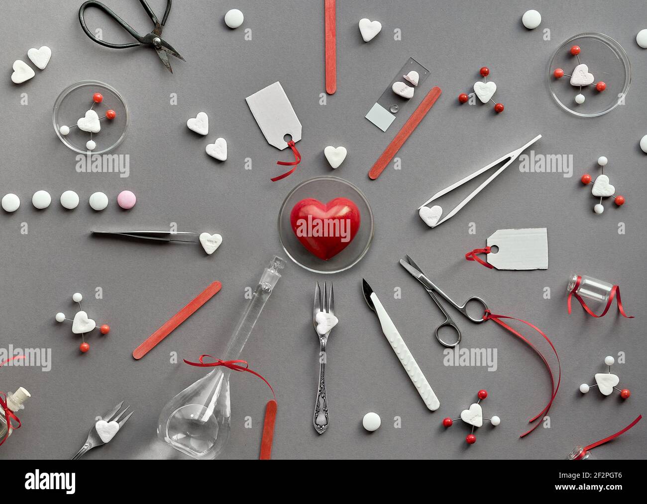 Chimie de l'amour. Mise à plat créative sur papier gris. Vue de dessus avec verrerie chimique, plats de pétri, molécules d'amour, coeurs de sucre, ciseaux, pinces Banque D'Images
