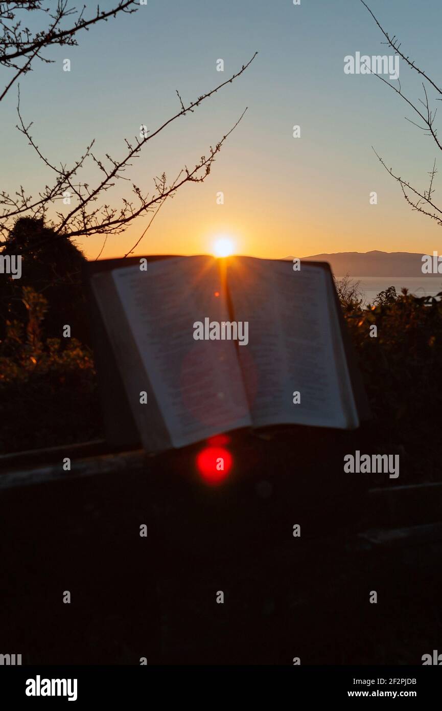 Sainte Bible ouverte à l'aube avec lumière du soleil et éclat de lentille. Tir vertical. Banque D'Images