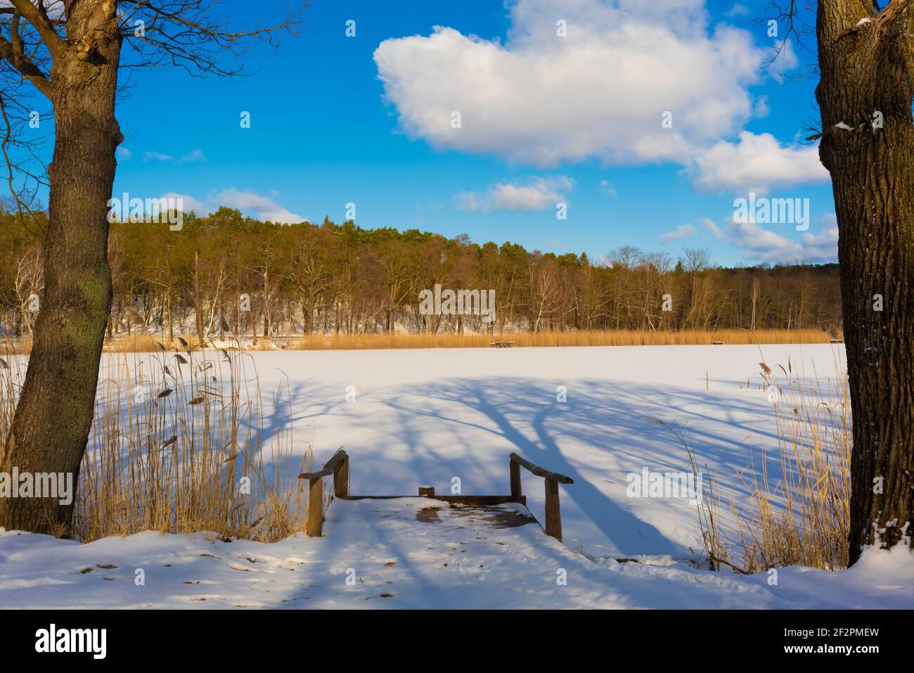 Lac complètement gelé dans le village de Holbeck en Allemagne en hiver, glace couverte de neige, lac de pêche Banque D'Images